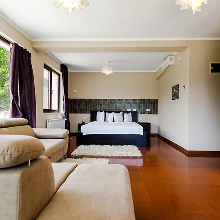Rex Infinity View 4* Cazanele Dunarii Dubova Dış mekan fotoğraf